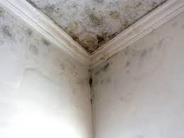 Best Mold Prevention Services  in Hoopa, CA