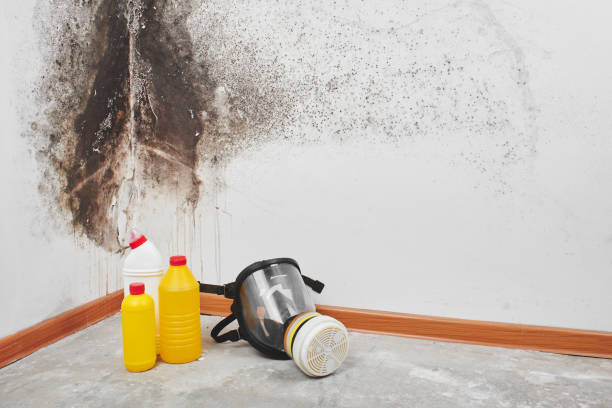 Best Residential Mold Inspection & Testing  in Hoopa, CA