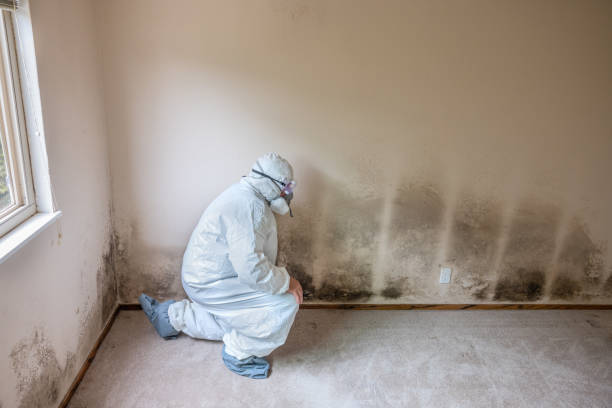 Best Mold Remediation for Healthcare Facilities  in Hoopa, CA