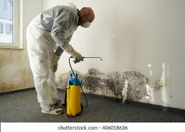 Best Industrial Mold Remediation  in Hoopa, CA